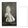 Leading Lady in Dogland-Linn's Famous Educated Dogs Postcard by Anonymous