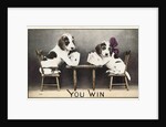 You Win Postcard by Anonymous