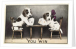 You Win Postcard by Anonymous