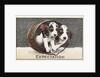 Expectation Postcard by Anonymous
