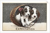 Expectation Postcard by Anonymous