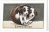 Expectation Postcard by Anonymous