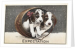 Expectation Postcard by Anonymous