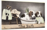 The Bath Postcard by Anonymous