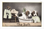 The Bath Postcard by Anonymous