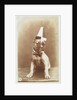 Postcard of a Boxer Puppy Wearing a Party Hat by A.G. Steglitz