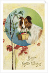 Best Easter Wishes Postcard by Anonymous