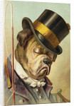 Postcard of a Bulldog Coachman Asleep by Anonymous