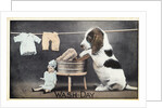 Wash-Day Postcard by Anonymous