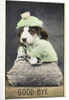 Good-Bye Postcard by Anonymous