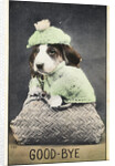 Good-Bye Postcard by Anonymous