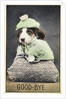 Good-Bye Postcard by Anonymous