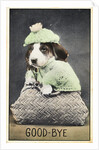 Good-Bye Postcard by Anonymous