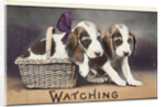 Watching Postcard by Anonymous