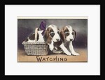 Watching Postcard by Anonymous