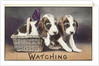 Watching Postcard by Anonymous