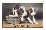 Watching Postcard by Anonymous