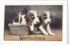 Watching Postcard by Anonymous