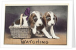 Watching Postcard by Anonymous