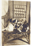 Room For One More In Front Photographic Postcard by Anonymous