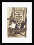 Room For One More In Front Photographic Postcard by Anonymous