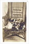 Room For One More In Front Photographic Postcard by Anonymous