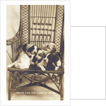 Room For One More In Front Photographic Postcard by Anonymous