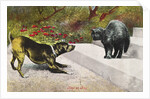 Kept at Bay Color Print Postcard by Anonymous