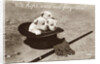 We Hope We're Not Forgotten Photographic Postcard by Anonymous