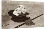 We Hope We're Not Forgotten Photographic Postcard by Anonymous
