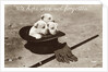 We Hope We're Not Forgotten Photographic Postcard by Anonymous