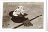 We Hope We're Not Forgotten Photographic Postcard by Anonymous