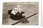 We Hope We're Not Forgotten Photographic Postcard by Anonymous