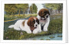 Color Print Postcard with Two St. Bernard Puppies by Anonymous