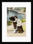 Color Print Postcard Showing Girl Hugging a Bernese Mountain Dog by Anonymous