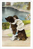 Color Print Postcard Showing Girl Hugging a Bernese Mountain Dog by Anonymous