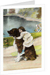 Color Print Postcard Showing Girl Hugging a Bernese Mountain Dog by Anonymous