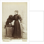 Albumen Print Card Showing Woman with a Black Miniature Poodle by Anonymous