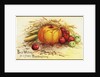 Best Wishes for a Happy Thanksgiving Postcard by Anonymous