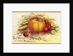 Best Wishes for a Happy Thanksgiving Postcard by Anonymous