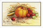 Best Wishes for a Happy Thanksgiving Postcard by Anonymous
