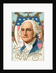 In Memory of the Birthday of Washington Postcard by Anonymous