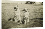 Mr. and Mrs. Tiny at Camp Petawawa Postcard by Anonymous