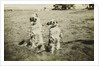 Mr. and Mrs. Tiny at Camp Petawawa Postcard by Anonymous