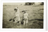 Mr. and Mrs. Tiny at Camp Petawawa Postcard by Anonymous