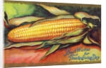 Best Wishes for Thanksgiving Day Postcard by Anonymous
