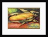 Best Wishes for Thanksgiving Day Postcard by Anonymous