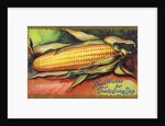 Best Wishes for Thanksgiving Day Postcard by Anonymous