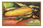 Best Wishes for Thanksgiving Day Postcard by Anonymous