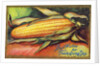 Best Wishes for Thanksgiving Day Postcard by Anonymous